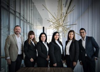 Telecommunications career