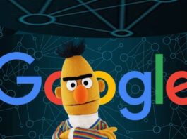 Google BERT Update
