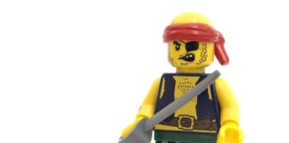 Copyright Protection of Software and Other Online Products Software Copyright Protection