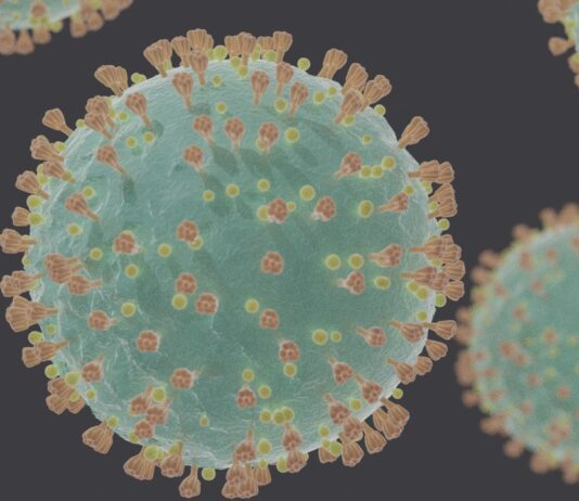 Coronavirus pandemic