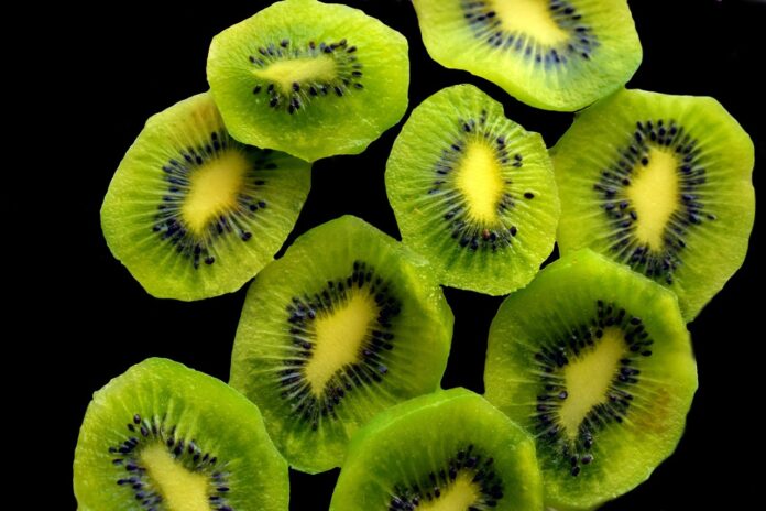 Kiwi Fruit Kiwi Fruit