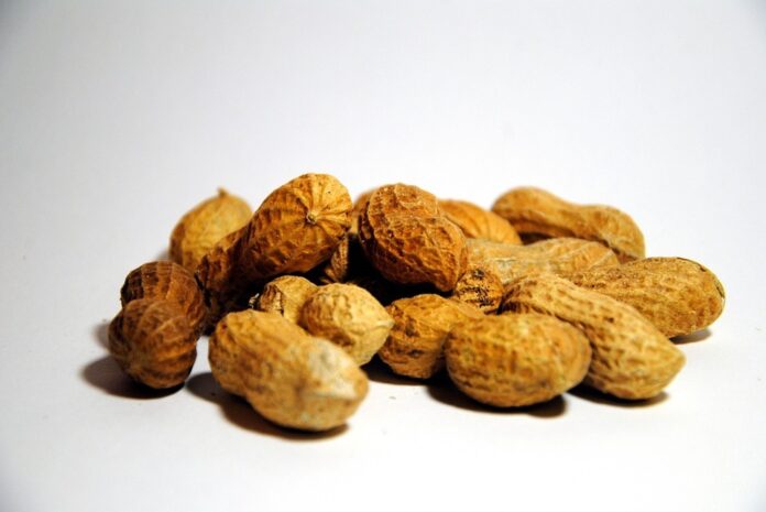 Peanuts Health benefits of peanuts