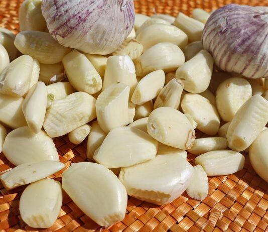 Garlic