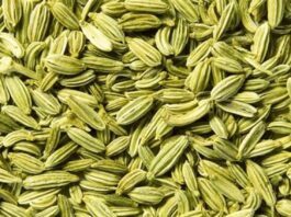 benefits of fennel
