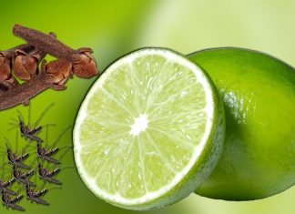 Remedies to keep mosquitoes away