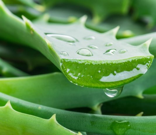 Best Aloe Vera gel