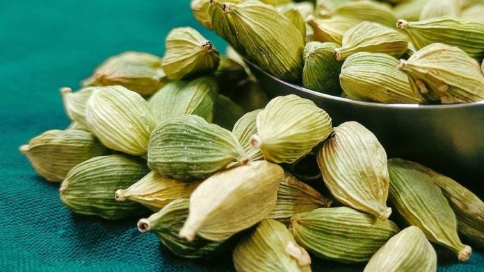 Green Cardamom (Elaichi) Benifits Green Cardamom (Elaichi) Benifits