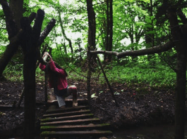 Slip and Fall Accident