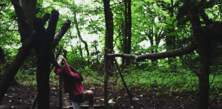 Slip and Fall Accident