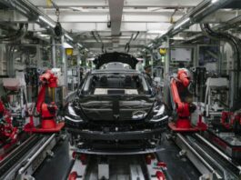 Tesla Dedicated Robotaxi