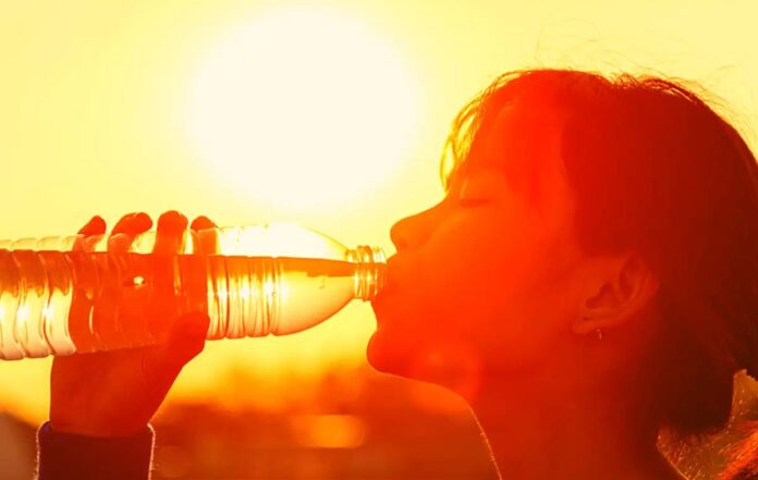 Things to Do during Summer to Prevent Diseases Things to Do during Summer to Prevent Diseases