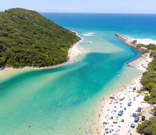 Which state is better NSW or Queensland?