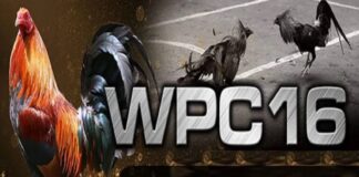 Wpc2025
