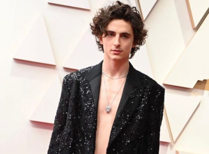 Timothee Chalamet Timothee Chalamet