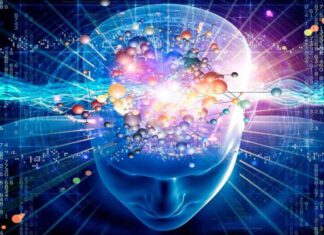 Brain Exercises to Improve Your Memory