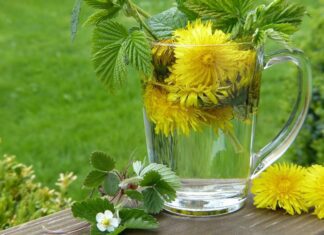 Health Benefits and Side Effects of Inulin