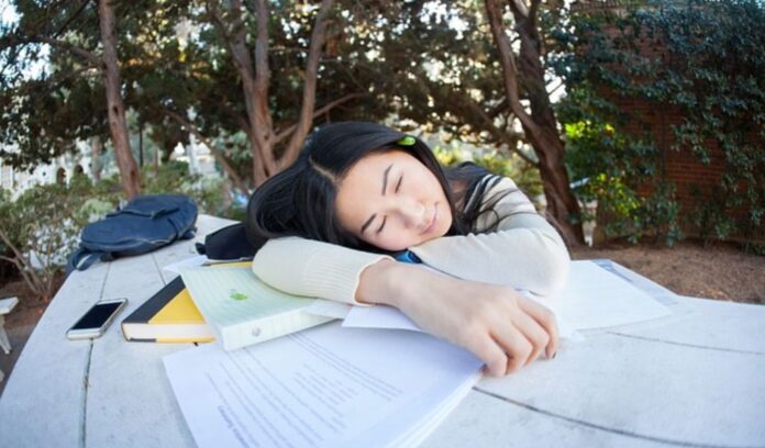 Outdoor Study Outdoor Study