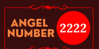2222 Angel Number Meaning: Here’s All the Hidden Things 2222 Angel Number Meaning