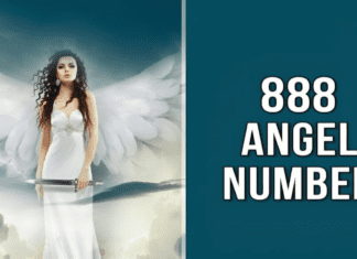 888 Angel Number