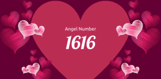 1616 Angel Number: Love, Money, Career, and Spiritual Significance! 1616 angel number