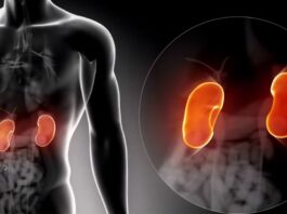 Habits that Harm Your Kidneys