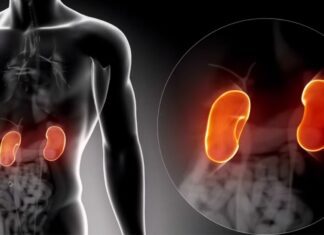 Habits that Harm Your Kidneys
