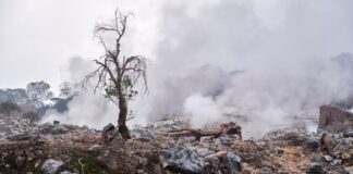 Deadliest Natural Disasters in History