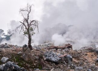 Deadliest Natural Disasters in History