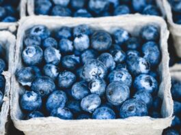 Largest Exporters of Blueberries in the World