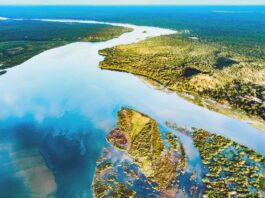 Metal Mining Pollution Affects Millions