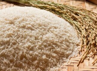 Rice Producing Countries in the World