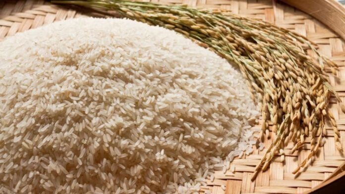 Rice Producing Countries in the World Rice Producing Countries in the World