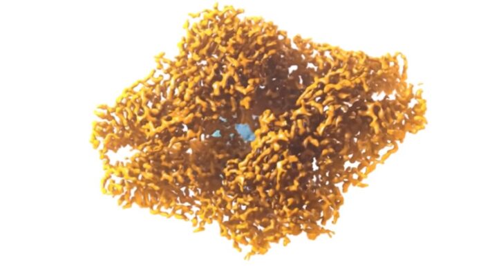 Affordable Cryo-EM Microscope Prototype