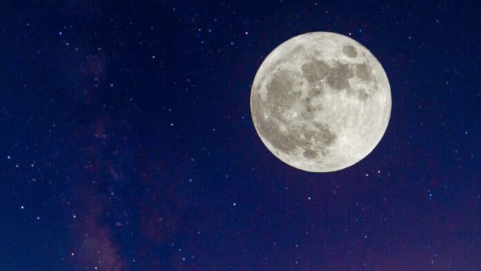 Beaver Moon 2023 Beaver Moon 2023