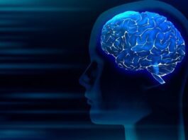 Best supplements for memory