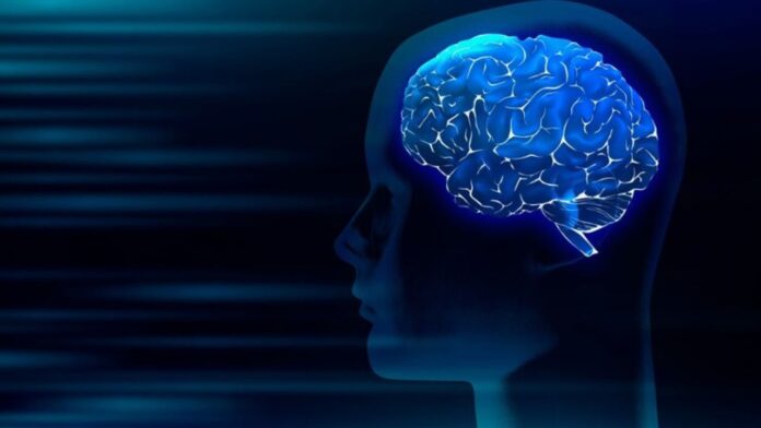 Best supplements for memory