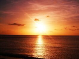 Light Evaporates Water Without Heat