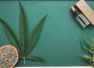 Raw Organic Hemp vs. Traditional Rolling Papers