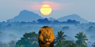 Morocco World Citizenship Index 2025