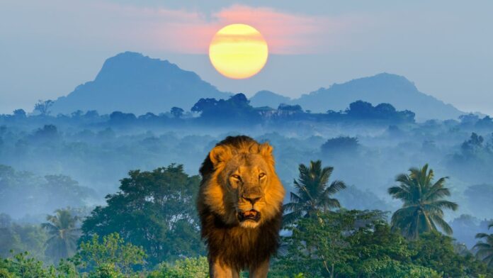 Morocco World Citizenship Index 2025