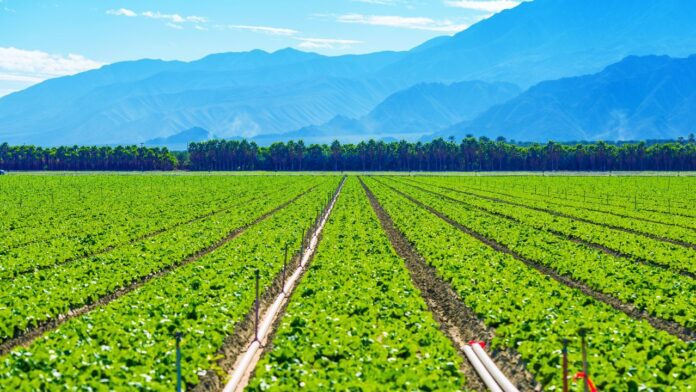 Top Agricultural Producing Countries in the World